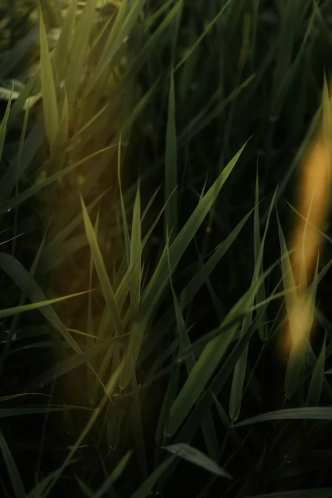 luke-miller-NmJEXY1GQy4-unsplash